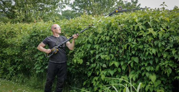 Tipy a triky pro načasování stříhání živých plotů